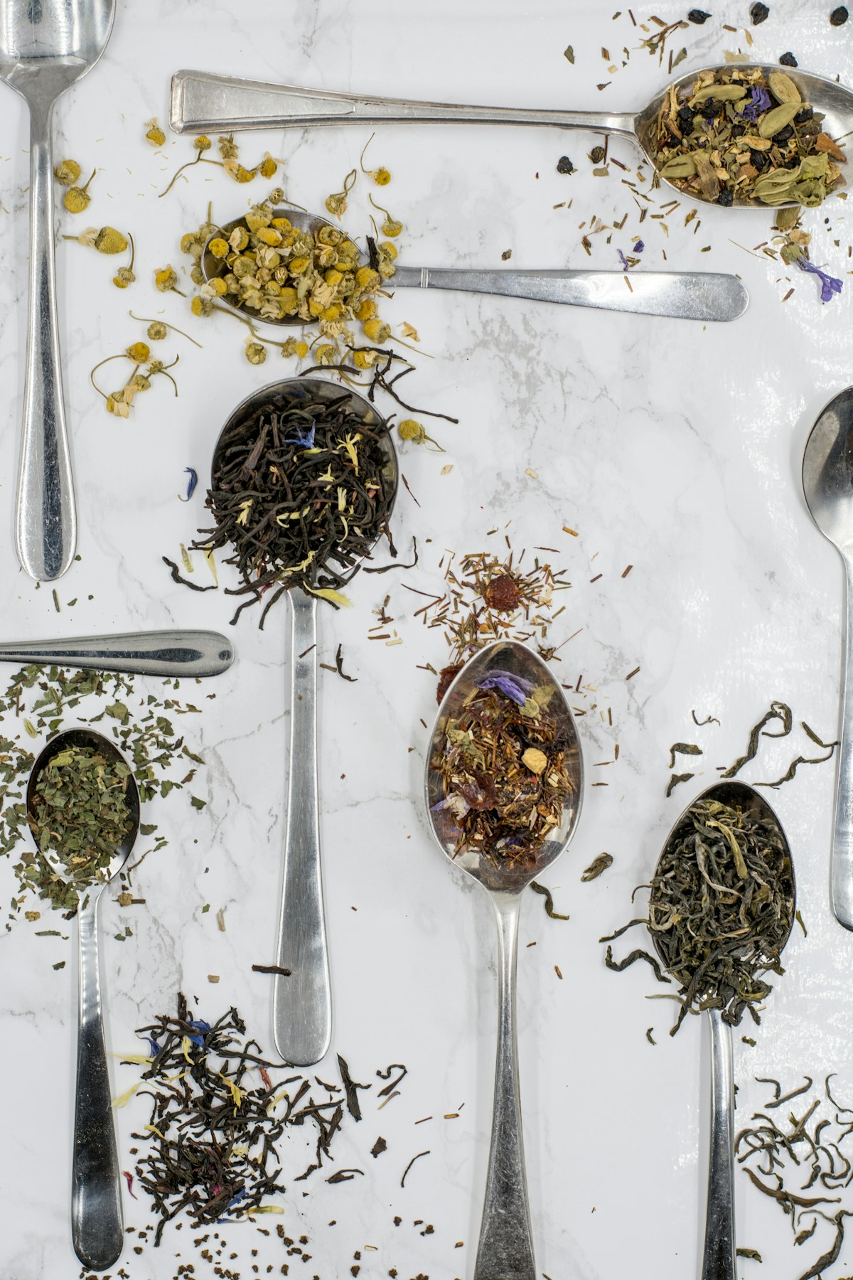 泡制 herbal tea